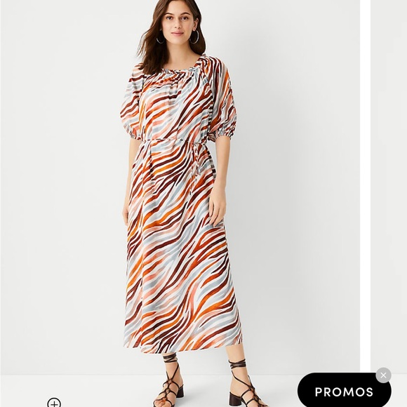 NWOT Ann Taylor Zebra Stripe Boat Neck Midi Dress OVERSIZED fits up to S/M - Picture 1 of 9